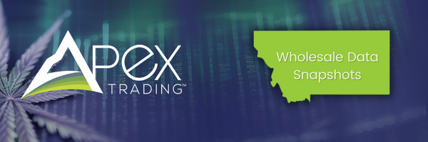 MT  data snapshot banner